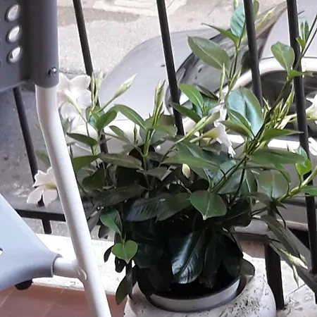 Happy Holidays Welcome *