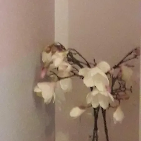 Happy Holidays Welcome *